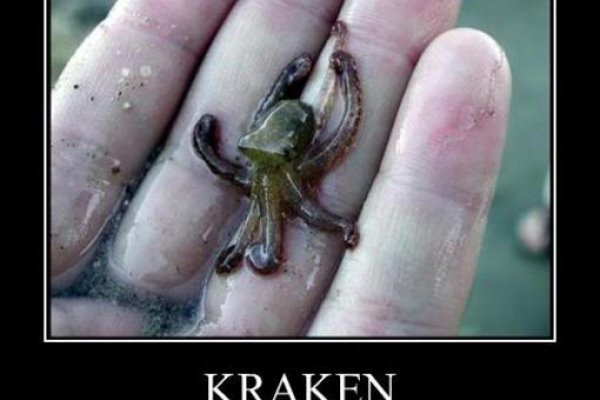 Зеркала сайта кракен kraken 6 onion