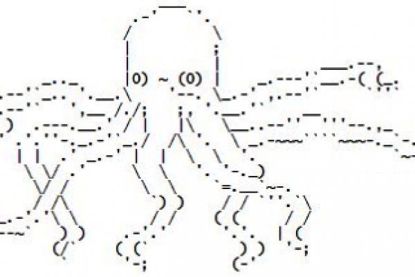 Kraken url