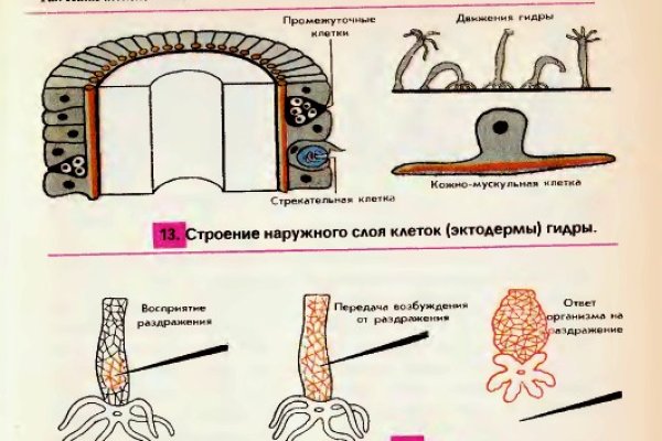 Вход на кракен зеркало